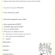 Pracovní listy do literatury! Celkem 5 listů, celkem 5 stran! 4