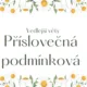 OPAKOVÁNÍ VEDLEJŠÍCH VĚT, 60 karet 2
