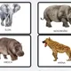 ZOO/Exotická zvířata 2