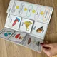 Lapbook - třídění živých organismů 2