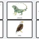 ZOO/Exotická zvířata 7
