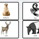 ZOO/Exotická zvířata 6