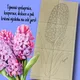 Jarní květiny - 3 kooperativní obrazy za cenu 1🌸  4