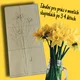 Jarní květiny - 3 kooperativní obrazy za cenu 1🌸  2