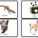 ZOO/Exotická zvířata 5