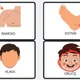LIDSKÉ TĚLO 6