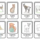 Sada aktivit domácí zvířata - animali da fattoria 2