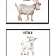 Farma 🐄🐔🐷🐴🐑 6
