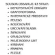Moje rodina 2