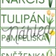 Jarní květiny slovíčkování 4