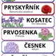 Jarní šifry v matematice pro 3. a 4. třídu 3