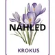 Květiny 🌷 3