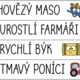 ROZHODOVAČKY - Koncovky přídavných jmen 3