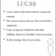 Reading comprehension - běhačka - past simple 4