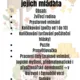 Domácí zvířata a jejich mláďata 2
