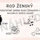 Podstatná jména - přehled 3