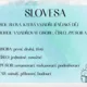 Slovesa - přehled 2