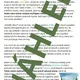 Češtinářská únikovka – nejen velikonoční záhada 2