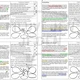 20 ZVÍŘAT - PRÁCE S TEXTEM - RWCT - pro 3. až 5. třídu - (V-CH-D a další metody) 6
