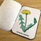 JARNÍ KVĚTINY - FLIPBOOK 5