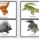 ZOO/Exotická zvířata 3