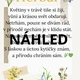 Herbář 🌼 7