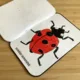 HMYZ, BROUCI A JINÁ HAVĚŤ - FLIPBOOK 4