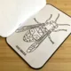 HMYZ, BROUCI A JINÁ HAVĚŤ - FLIPBOOK 6
