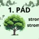 PÁDY 3