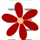 Podstatná jména - hromadná, pomnožná a látková 2