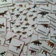  Dinosauři - demonstrační karty  5