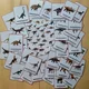  Dinosauři - demonstrační karty  6