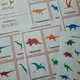  Kreslení dinosauři - demonstrační karty  3