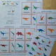 Kreslení dinosauři - demonstrační karty  2