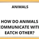 ANIMALS CONVERSATION CAARDS 3