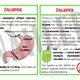 Trávicí soustava - informační karty 2
