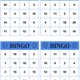 Bingo (sčítání, odčítání do 20) 2