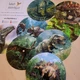  DINOSAUŘI - otočné skládačky  2
