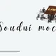 Dělba státní moci v ČR 3
