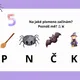 Čarodějnice plotovka🧙‍♀️ 3