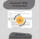 Franská říše - Tematický celek 8