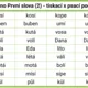 První slova s písmeny S L M N P T K V D B tiskací a psací podoba — sada 2., DOMINO  4