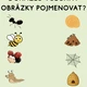 Jaro v trávě - plotovka 2