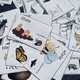 Karty - Kdo je můj parťák 5