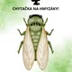 Pálení čarodějnic- stanoviště 3