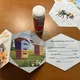 VČELA MEDONOSNÁ -knížka k doplnění informací 3