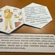 VČELA MEDONOSNÁ -knížka k doplnění informací 6