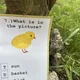 Easter - obrázkový kvíz 3