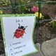 Spring - obrázkový kvíz 3