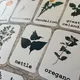 Herbs, flowers - demonstration cards 3